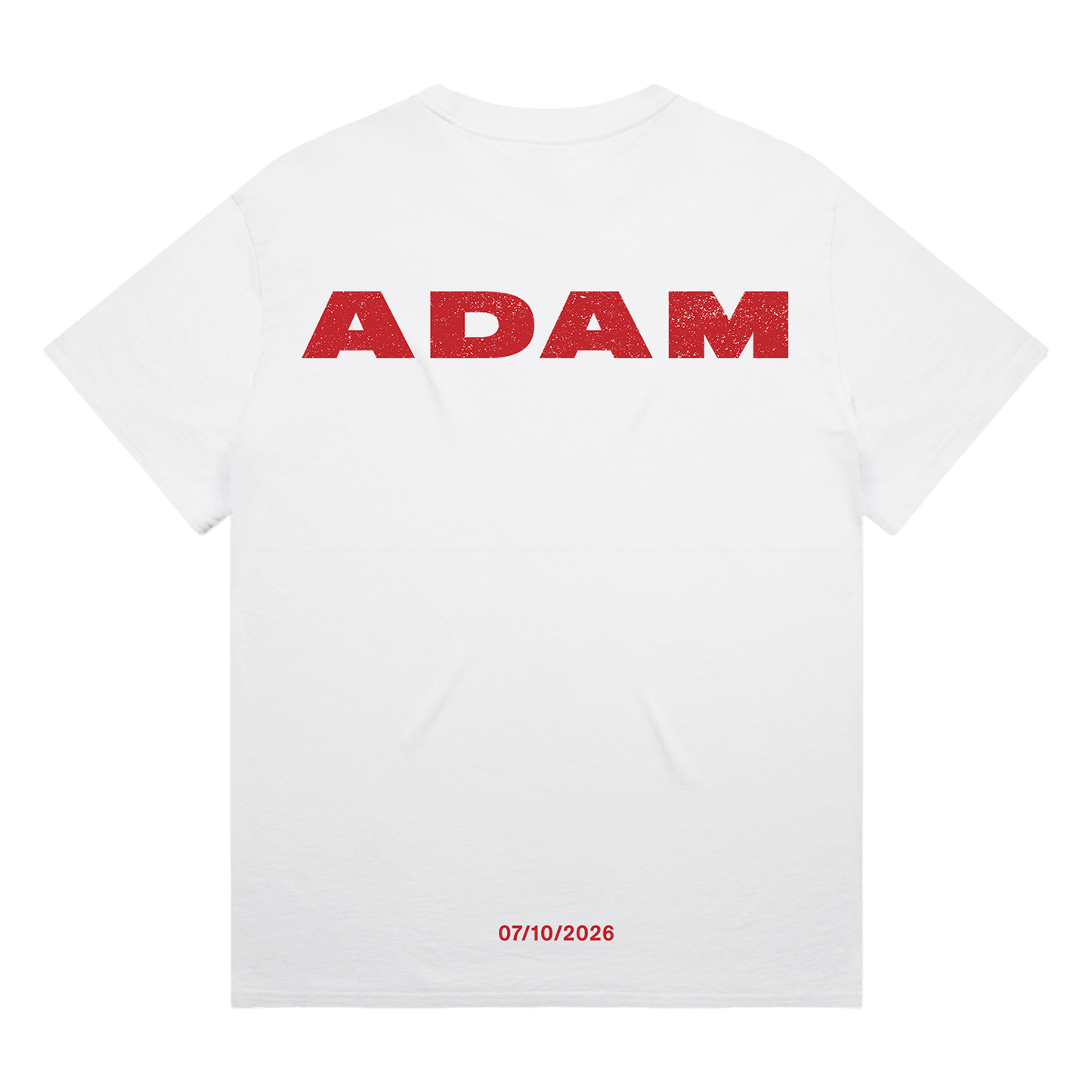 ADAM Logo T-Shirt (Faded White)